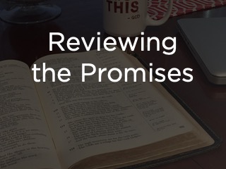 Reviewing the Promises