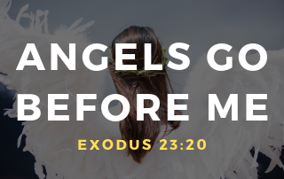 An angel with it's back to us and the words "Angels Go Before Me." Exodus 23:20