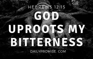God Uproots my Bitterness - Hebrews 12:15
