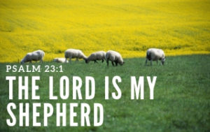 The Lord is My Shepherd - Psalm 23:1