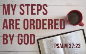 My Steps Are Ordered by God - Psalm 37:23