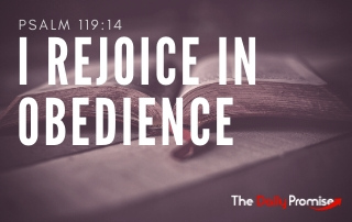 I Rejoice in Obeying God's Word - Psalm 119:14