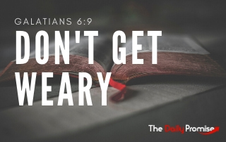 Dont' Get Weary - Galatians 6:9