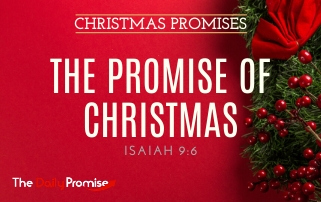 The Promise of Christmas - Isaiah 9:6