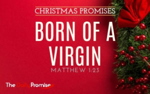 Born of a Virgin - Matthew 1:23