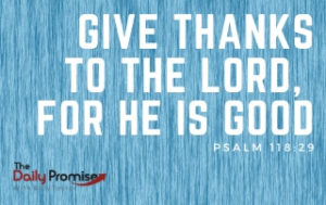 Give Thanks to the Lord, for He is Good - Psalm 118:29