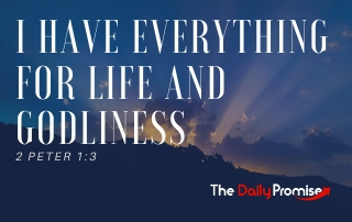 I Have Everything I Need for Life and Godliness - 2 Peter 1:3