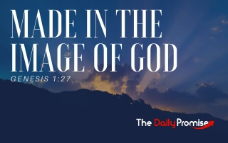 Made in His Image - Genesis 1:27