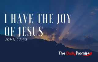 I Have the Joy of Jesus - John 17:13