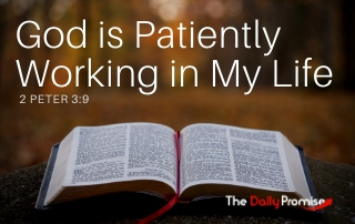 God is Patiently Working in Me - 2 Peter 3:9