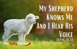 My Shepherd Knows Me, and I Hear HIs Voice - Joh 10:27