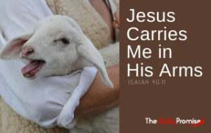 Jesus Carries Me in His Arms - Isaiah 40:11