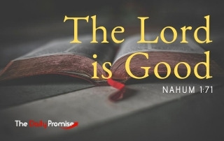 The Lord is Good - Nahum 1:7