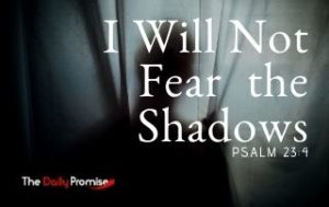 I Will Not Fear the Shadows - Psalm 23:4