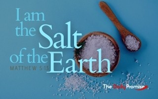 I am the Salt of the Earth - Matthew 5:13