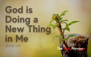 God Is Doing A New Thing In My Life | The Daily Promise