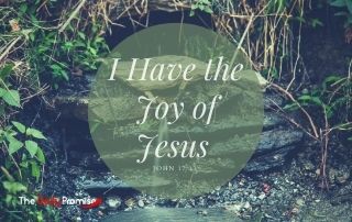 I have the Joy of Jesus - John 17:13