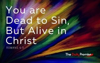 You Are Dead to Sin, But Alive in Christ - Roman 6:11