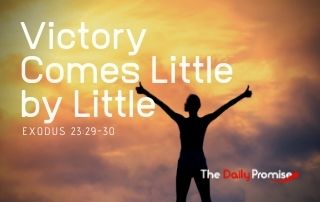Victory Comes Little by Little - Exodus 23:29-30