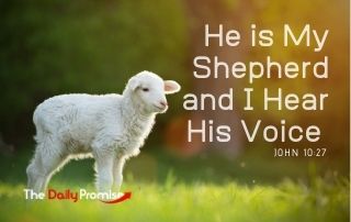 He is My Shepherd and I Hear His Voice - John 10:27