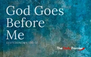 God Goes Before Me - Deuteronomy 1:30-31