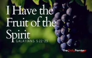 I Have the Fruit of the Spirit - Galatians 5:22-23