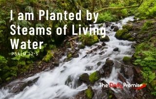 I Am Planted by Streams of Living Water - Psalm 1:2-3