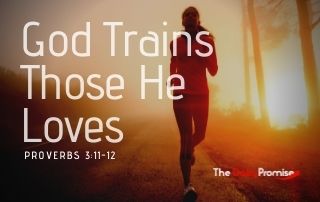 God Trains Those He Loves - Proverbs 3:11-12