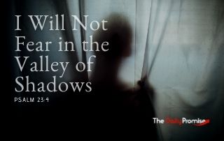 I Will Not Fear in the Valley of the Shadows - Psalm 23:4