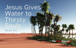 Jesus Gives Water to Thirsty Souls - Isaiah 44:3