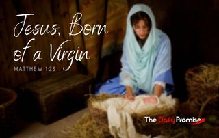 Jesus Was Born of a Manger - Matthew 1:23