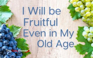 I Will be Fruitful Even in my Old Age - Psalm 92:12-14