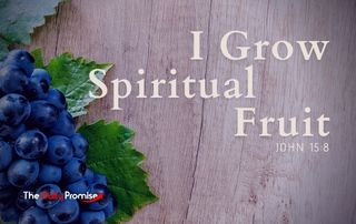 I Grow Spiritual Fruit | The Daily Promise