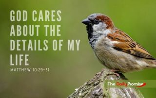 God Cares About the Details of My Life - Matthew 10:29-31
