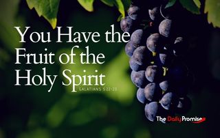 You Have the Fruit of the Holy Spirit - Galatians 5:22-23