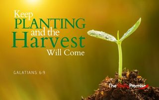 Keep Planting and the Harvest Will Come - Galatians 6:9