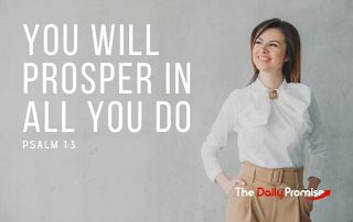 You Will Prosper in All You Do - Pslam 1:3