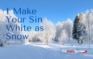 I Will Make You Sin as White as Snow - Isaiah 1:18