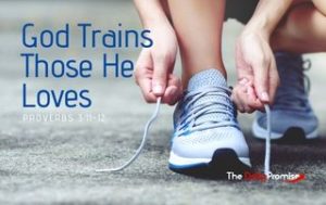 God Trains Those He Loves - Proverbs 3:11-12