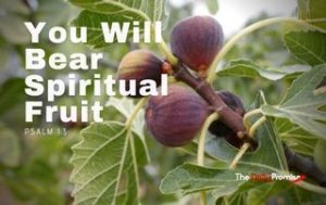 You Will Bear Spiritual Fruit - Psalm 1:2-3