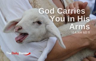 God Carries You in His Arms - Isaiah 40:11