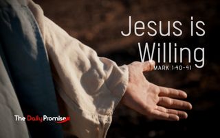 Jesus is Willing - Mark 1:40-41