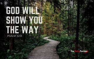 God Will Show You the Way - Psalm 32:8