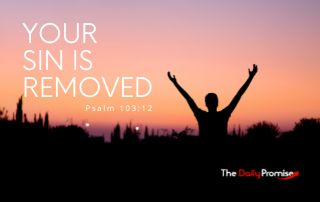 Your Sin is Removed - Psalm 103:2