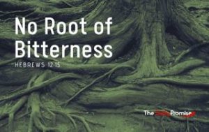 No Root of Bitterness - Hebrews