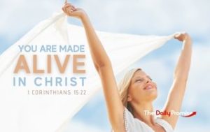 You Are Made Alive in Christ - 1 Corinthians 15:22
