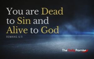 You Are Dead to Sin and Alive to God - Romans 6:11