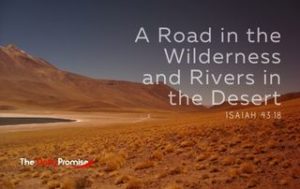 A Road in the Wilderness and Rivers in the Desert - Isaiah 43:19