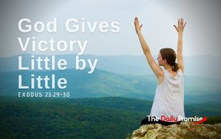 God Gives Victory Little by Little - Exodus 23:29-30