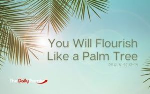You Will Flourish Like a Palm Tree - Psalm 92:12-14